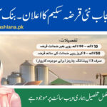 Bank of Punjab Financing 2025: Eligibility & Application Process