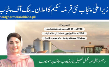 Bank of Punjab Financing 2025: Eligibility & Application Process
